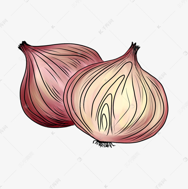 紫色手绘大蒜食物