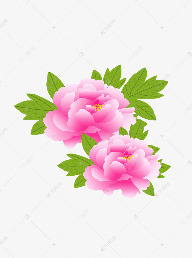 牡丹花牡丹叶粉色牡丹花素材图片免费下载 高清装饰图案psd 千库网 图片编号 牡丹花牡丹叶粉色牡丹花素材图片免费下载 高清装饰图案psd 千库网 图片编号