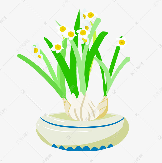 花卉盆栽水仙花手绘插画素材图片免费下载 高清卡通手绘psd 千库网 图片编号