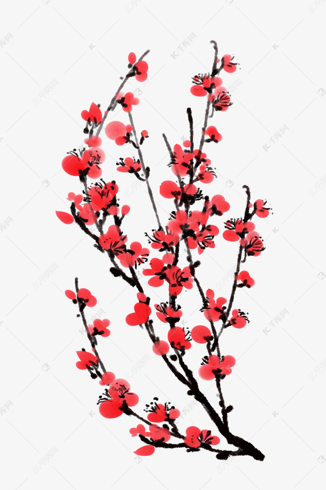 植物花枝水墨梅花插画
