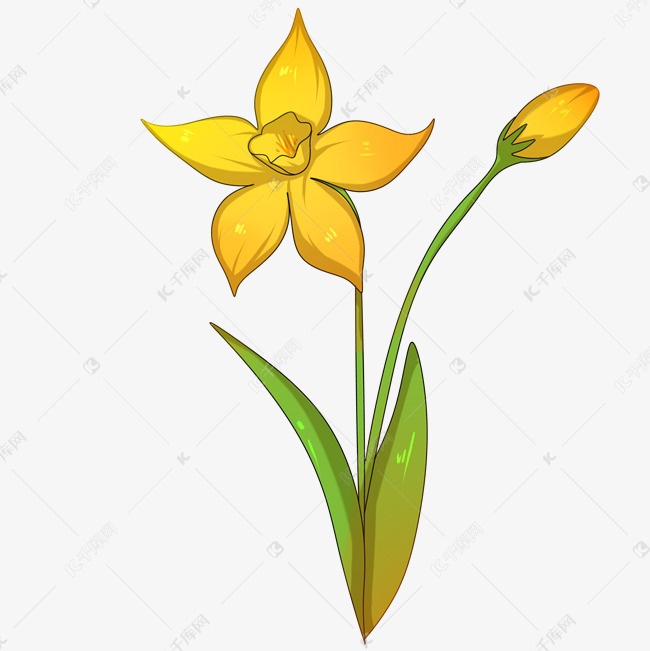 手绘唯美水仙花插画素材图片免费下载 高清卡通手绘psd 千库网 图片编号 手绘唯美水仙花插画素材图片免费下载 高清卡通手绘psd 千库网 图片编号