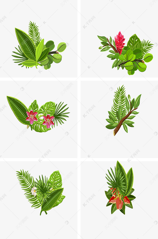 植物元素矢量图