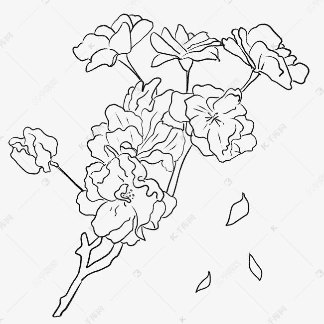 唯美樱花节樱花盛开黑色素描