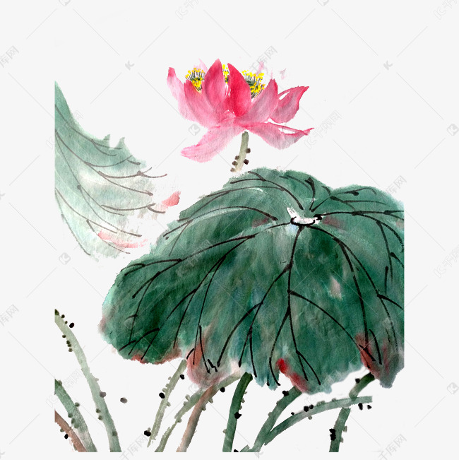 荷叶荷花国画水墨png写意夏