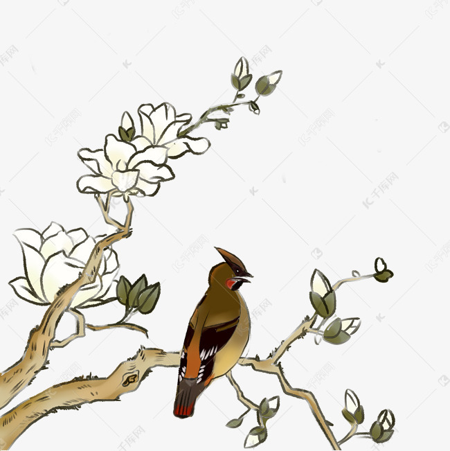 中国风古典手绘花鸟矢量图