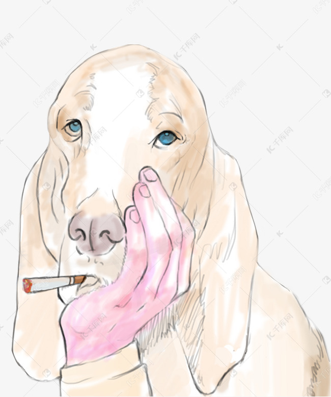 手绘思考的单身汪