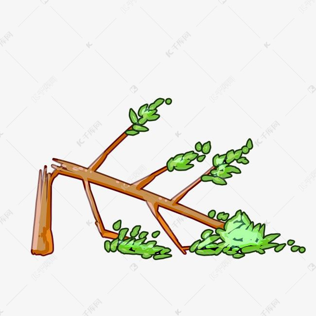 折断的树木