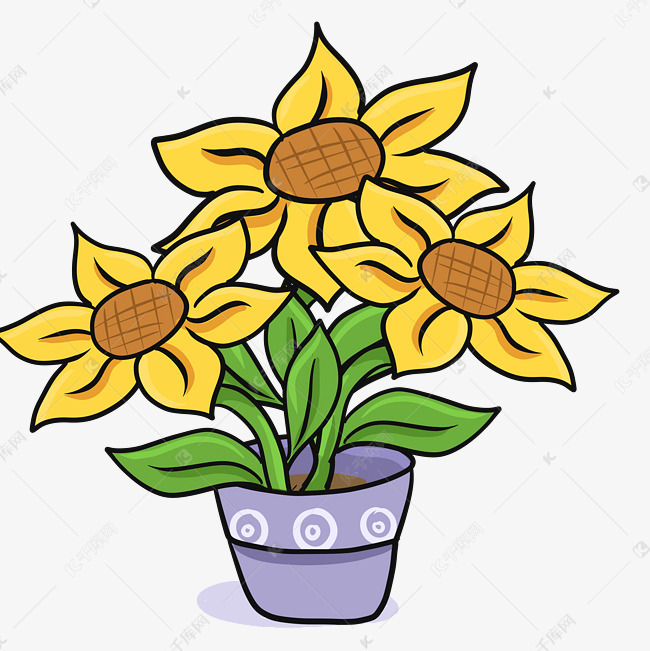 手绘向日葵盆栽插画