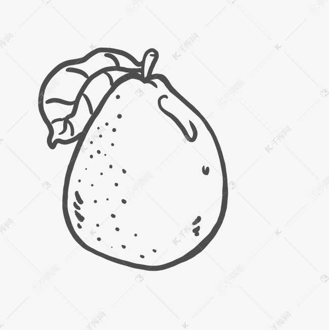 手绘卡通黑白线条梨png