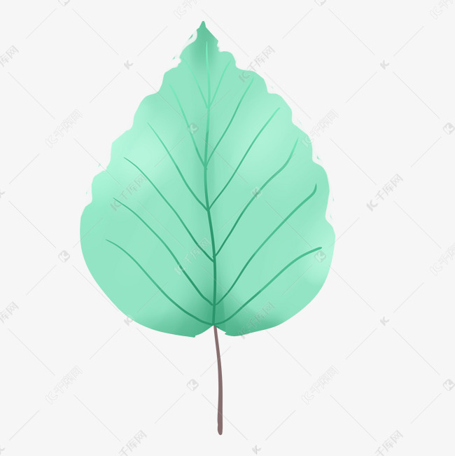 小整片叶子素材图片免费下载-千库网