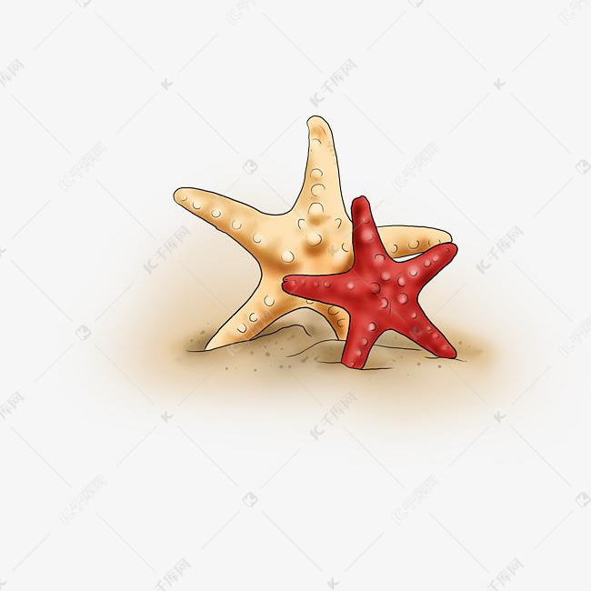 手绘沙滩上的海星