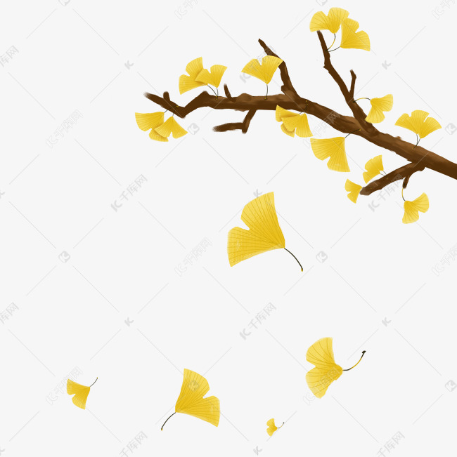 立秋植物节气银杏叶素材图片免费下载-千库网
