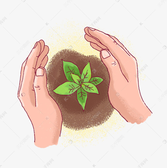 植树节手绘保护植物png免抠素材