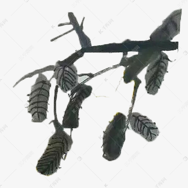 卡通水墨画桑葚植物免扣图