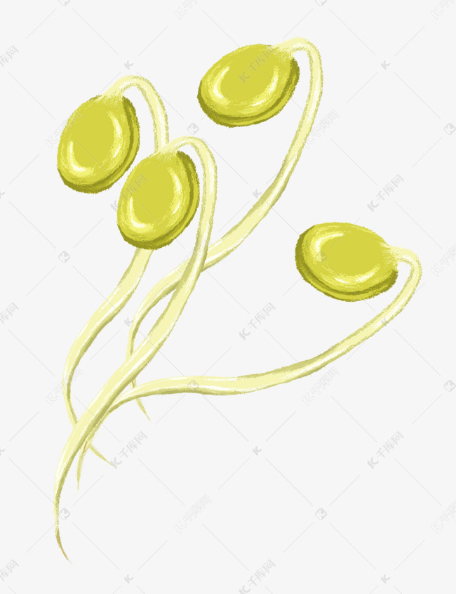 豆芽png免抠图