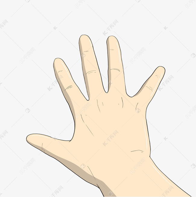 手绘手背手势插画
