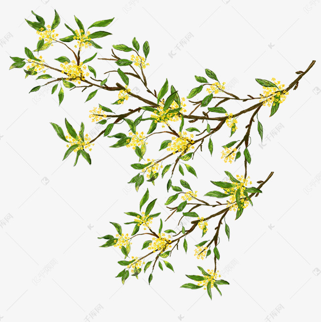 卡通支出来的桂花树免抠图素材图片免费下载 高清装饰图案psd 千库网 图片编号