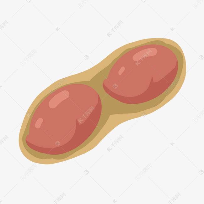 剥开的花生插图装饰
