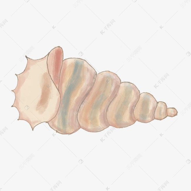 手绘水彩画海螺png