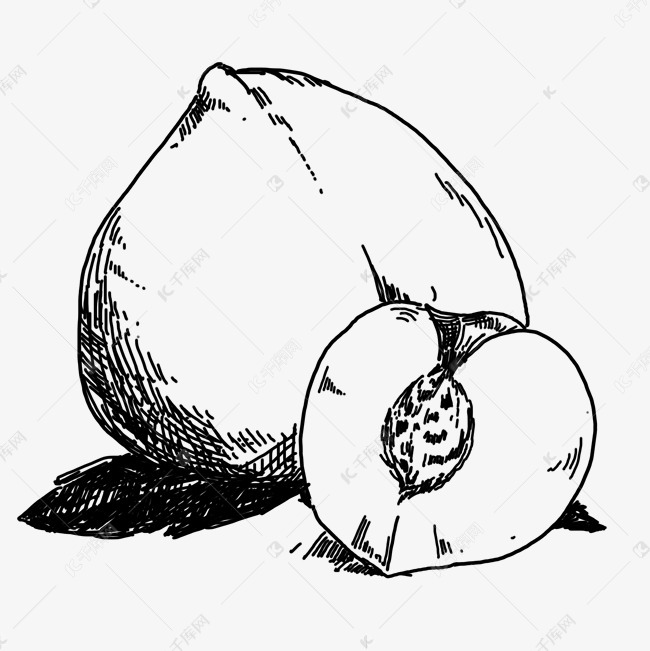 线描桃子手绘插画