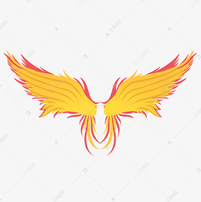 手绘凤凰的翅膀插画