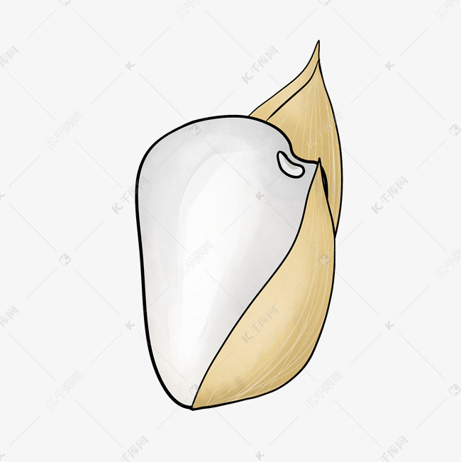 成熟了的卡通大米粒