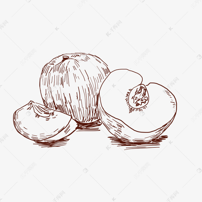线描蟠桃水果