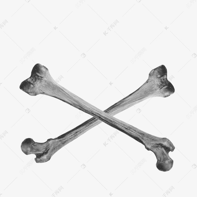 交叉手绘骨头装饰图