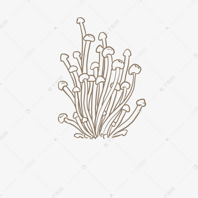线性速写金针菇png