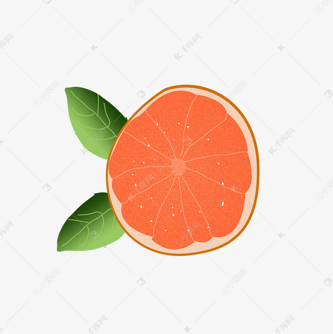 红心冰糖柚子逼真手绘png下载
