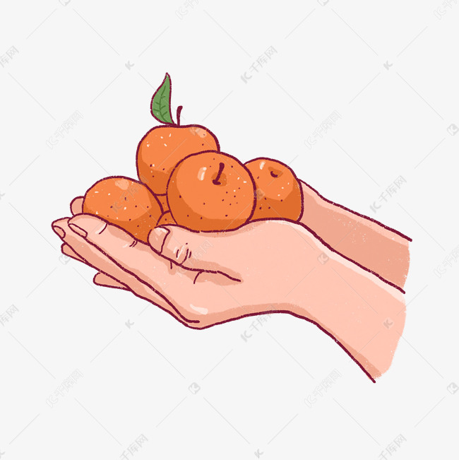 卡通手绘手捧橘子png免抠素材
