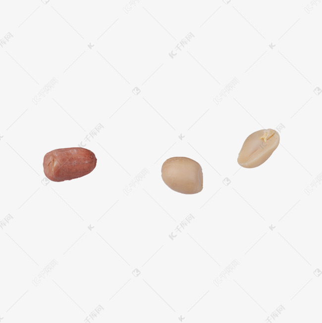 一粒花生(png免抠)