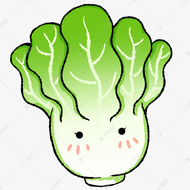 叶片植物生长