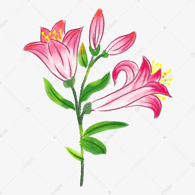 卡通红色百合花花苞插画