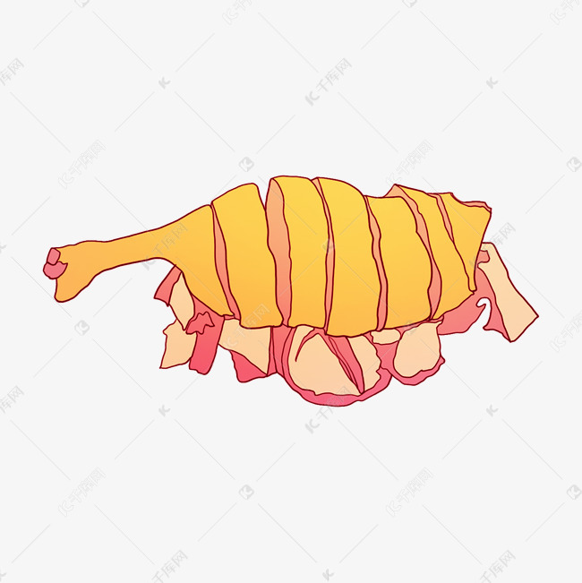 一个大鸭腿