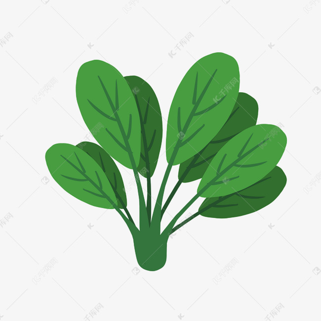 手绘卡通青菜蔬菜手绘