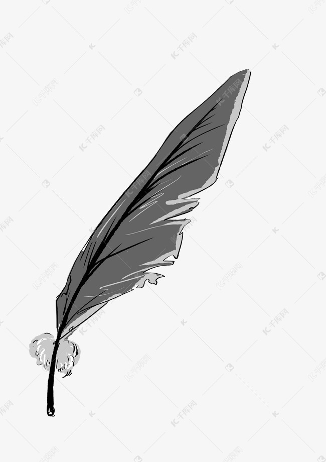 灰色羽毛手绘羽毛