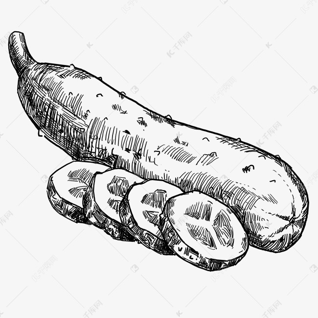 立体线描黄瓜插画