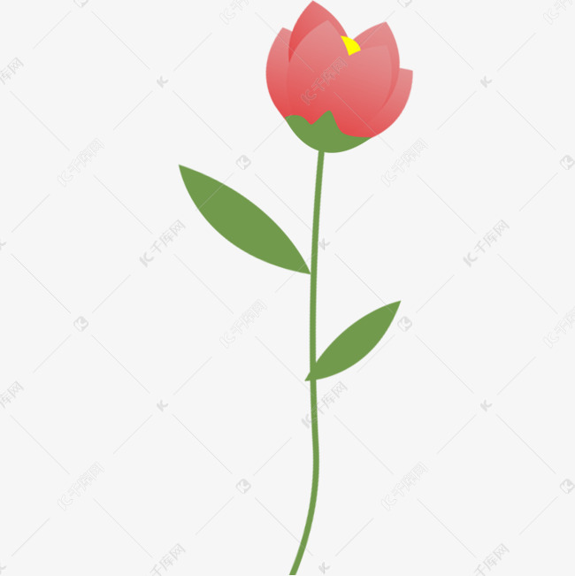 一支红色的花朵免抠图