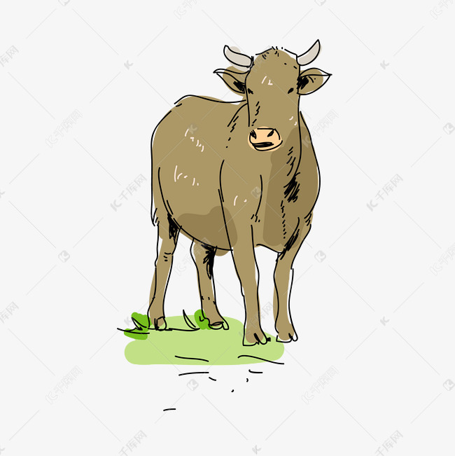 手绘的牛矢量素材