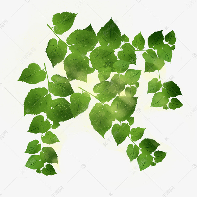 绿色叶子手绘装饰图案