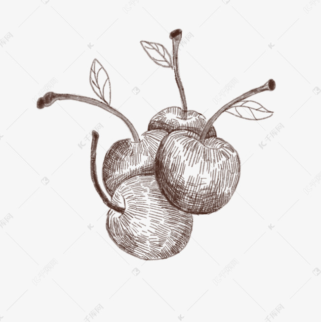 线描樱桃手绘插画