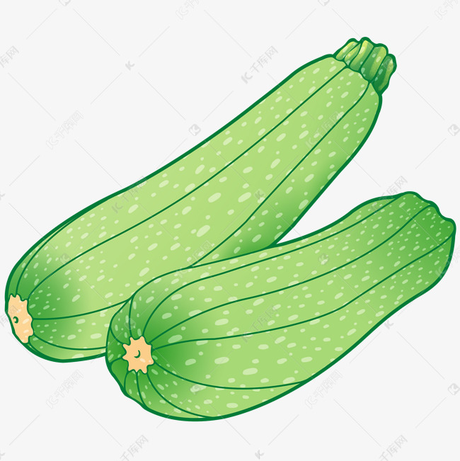 西葫芦保护自然装饰画葫芦瓜蔬菜