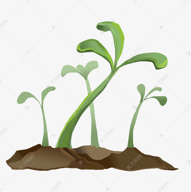 手绘春季破土的嫩芽插画
