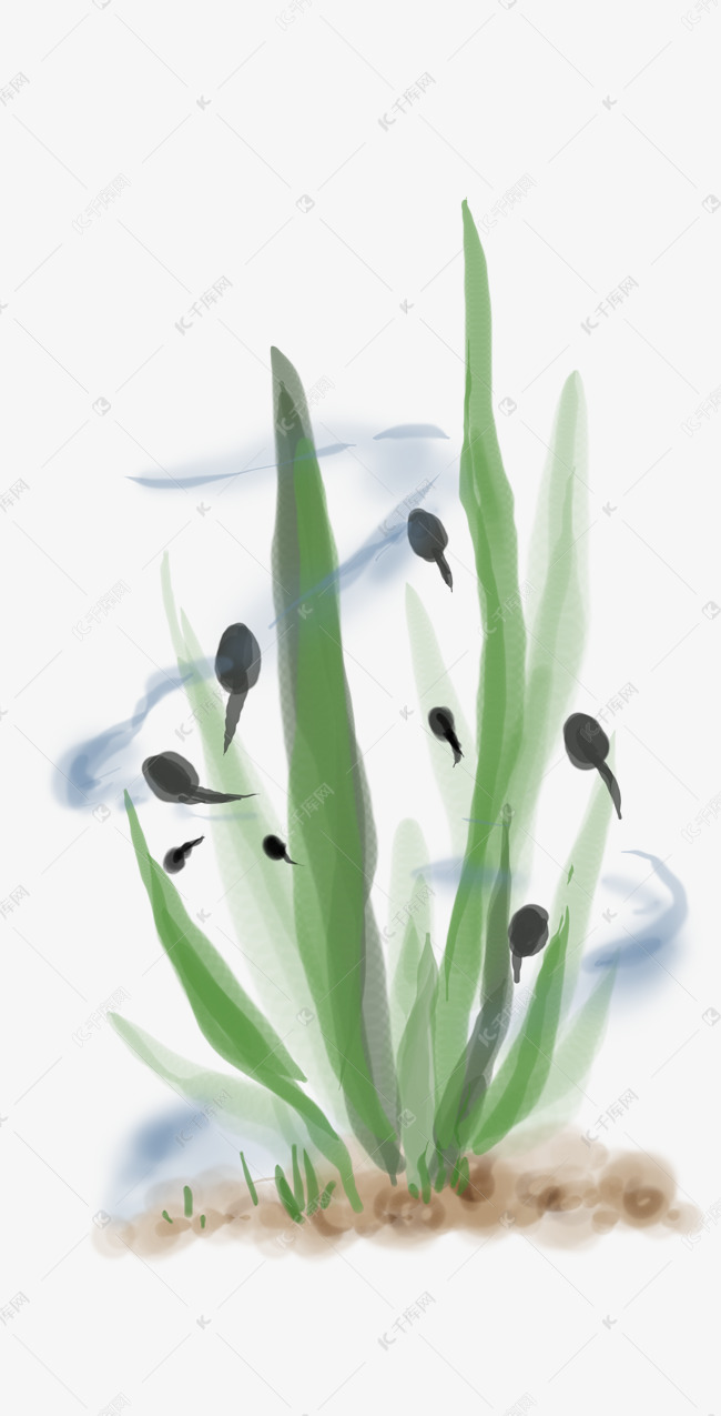 手绘荷塘里的蝌蚪