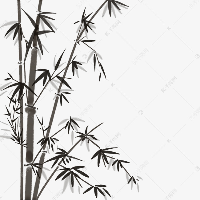 水墨竹子黑白手绘插画