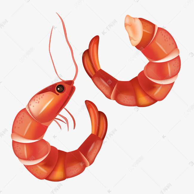 卡通美味的虾尾矢量素材