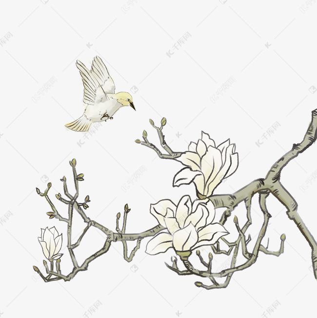 中国风古典手绘花鸟矢量图