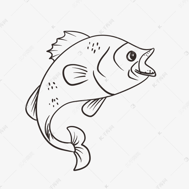 鱼的黑白线描画图片图片