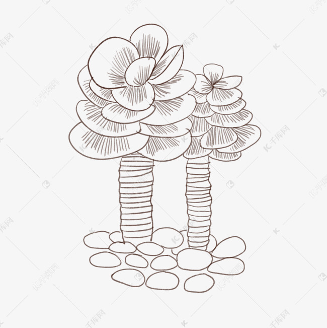 手绘金钱木线描插画